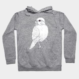 Bird Hoodie